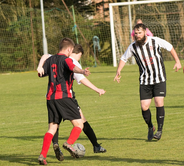 的年轻球员 的年轻球员