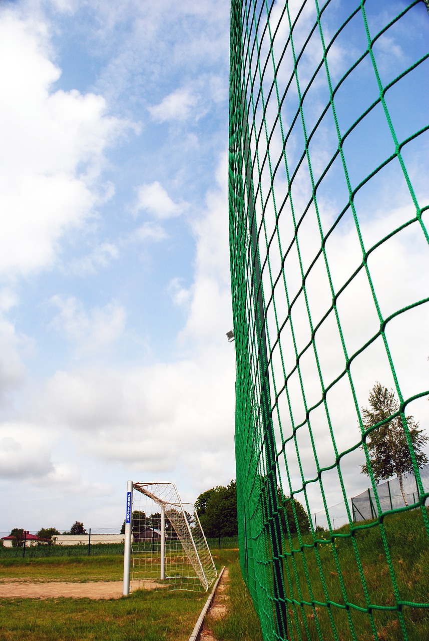 选手的成长 选手的成长