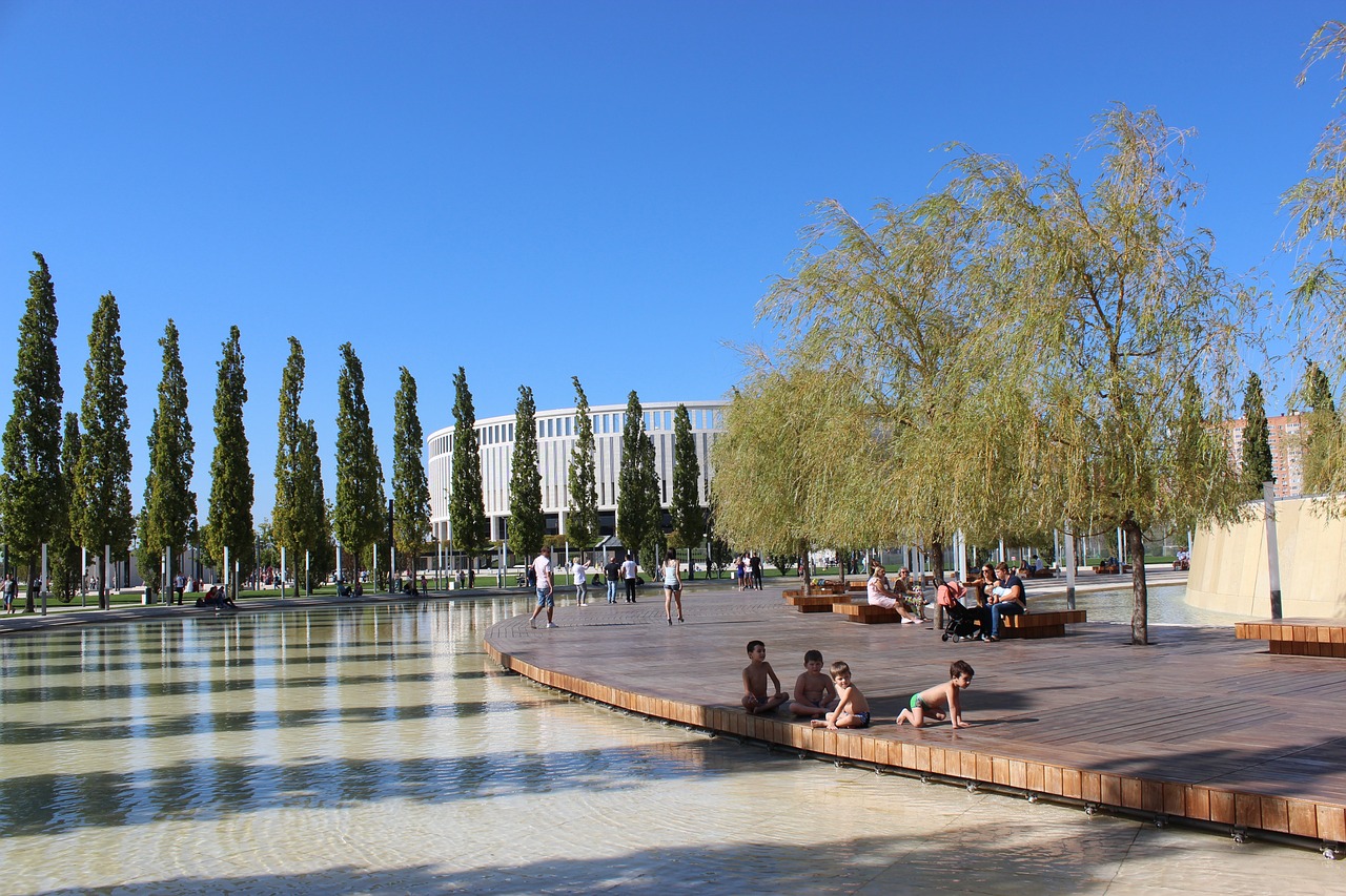 专注学习与 专注学习与