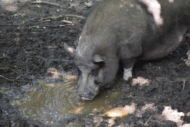 的認同感 的認同感