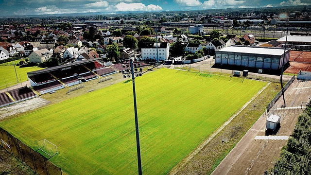 仅是篮球场 仅是篮球场